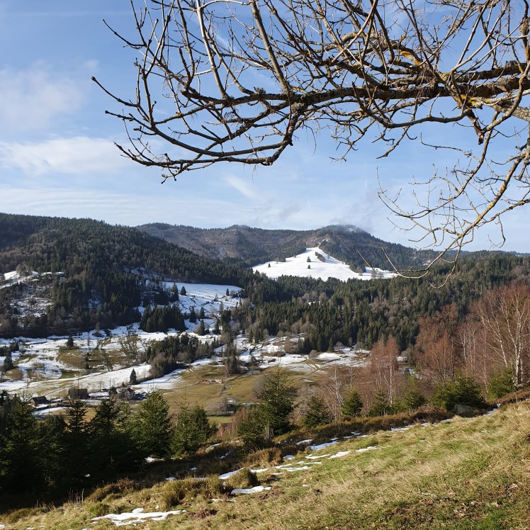 Albhof im Hochschwarzwald