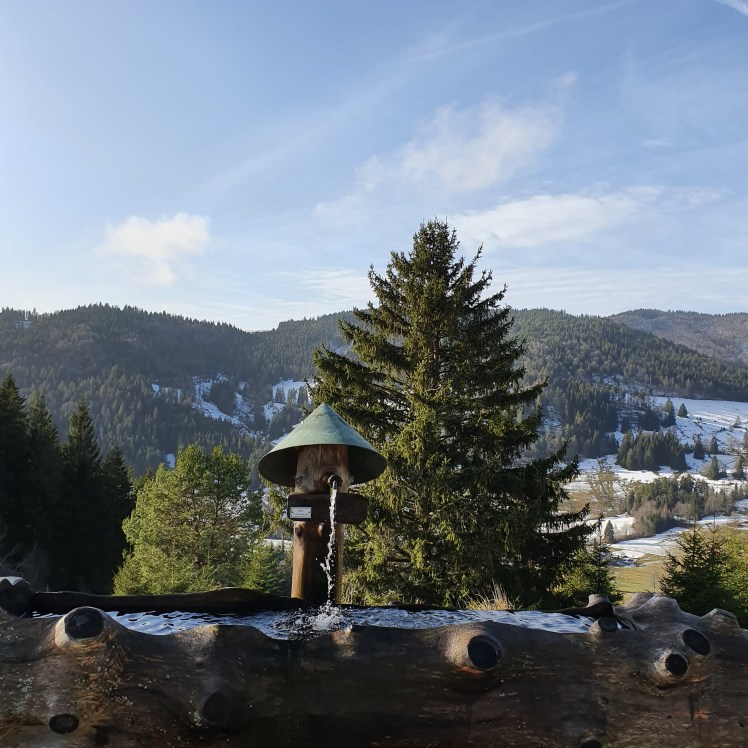 Albhof im Hochschwarzwald