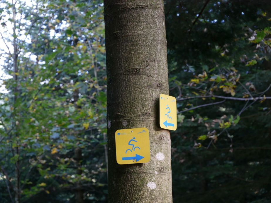 Buchenhof im Schwarzwald