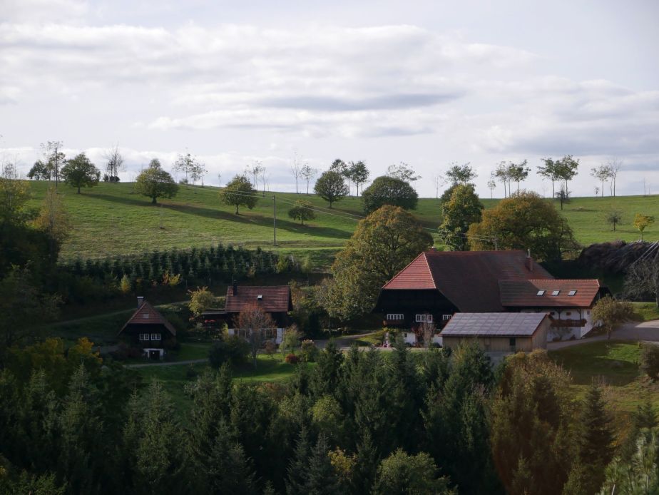 Buchenhof im Schwarzwald