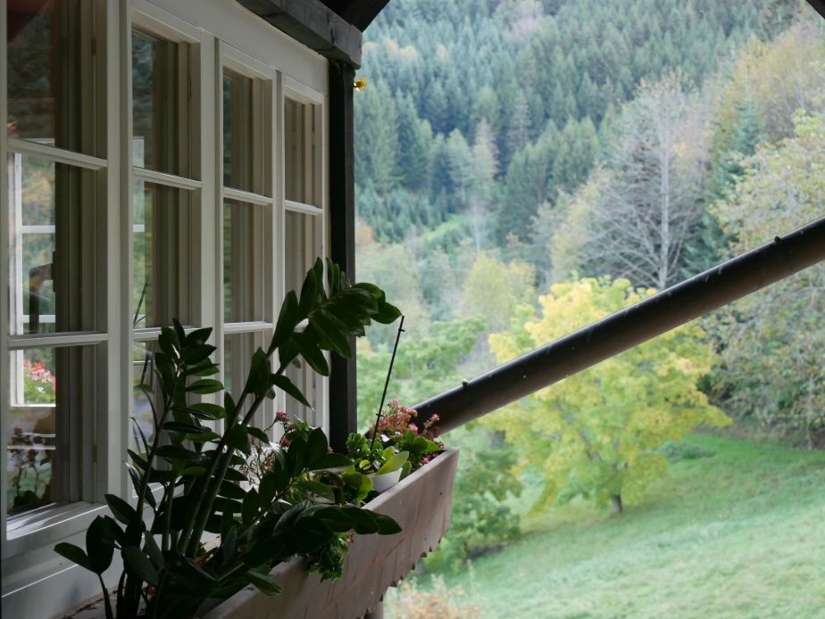 Buchenhof im Schwarzwald