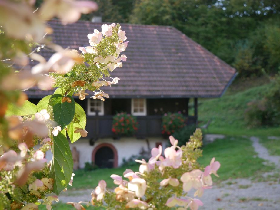 Buchenhof im Schwarzwald