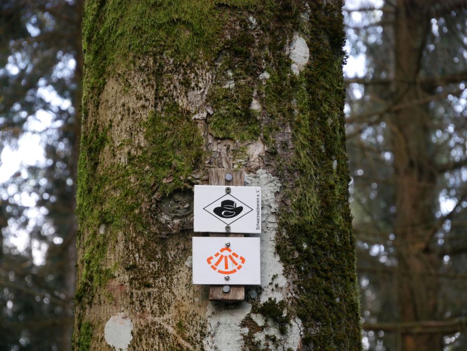 Buchenhof im Schwarzwald