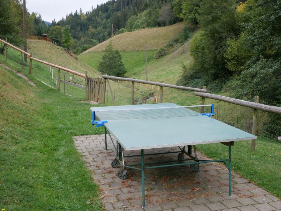 Fotoservice für Gastgeber
