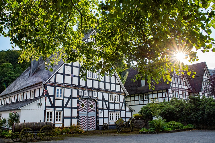 Ferienwohnung Sauerland