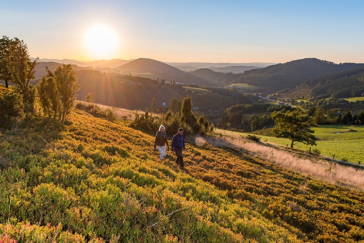 Ferienwohnung im Sauerland: Grünes Vergnügen