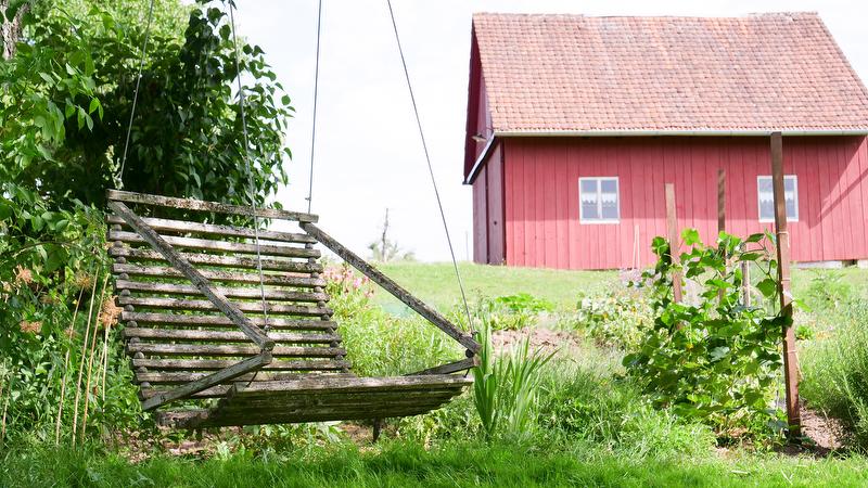 Urlaub in der Heimat