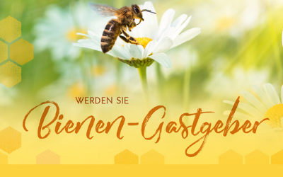Lohospo Bienen-Patenschaft Lohospo Bienen-Patenschaft